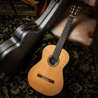 Siccas Luthiers - Craftsman Series by Stephen Eden - Lattice - Front view thumbnail