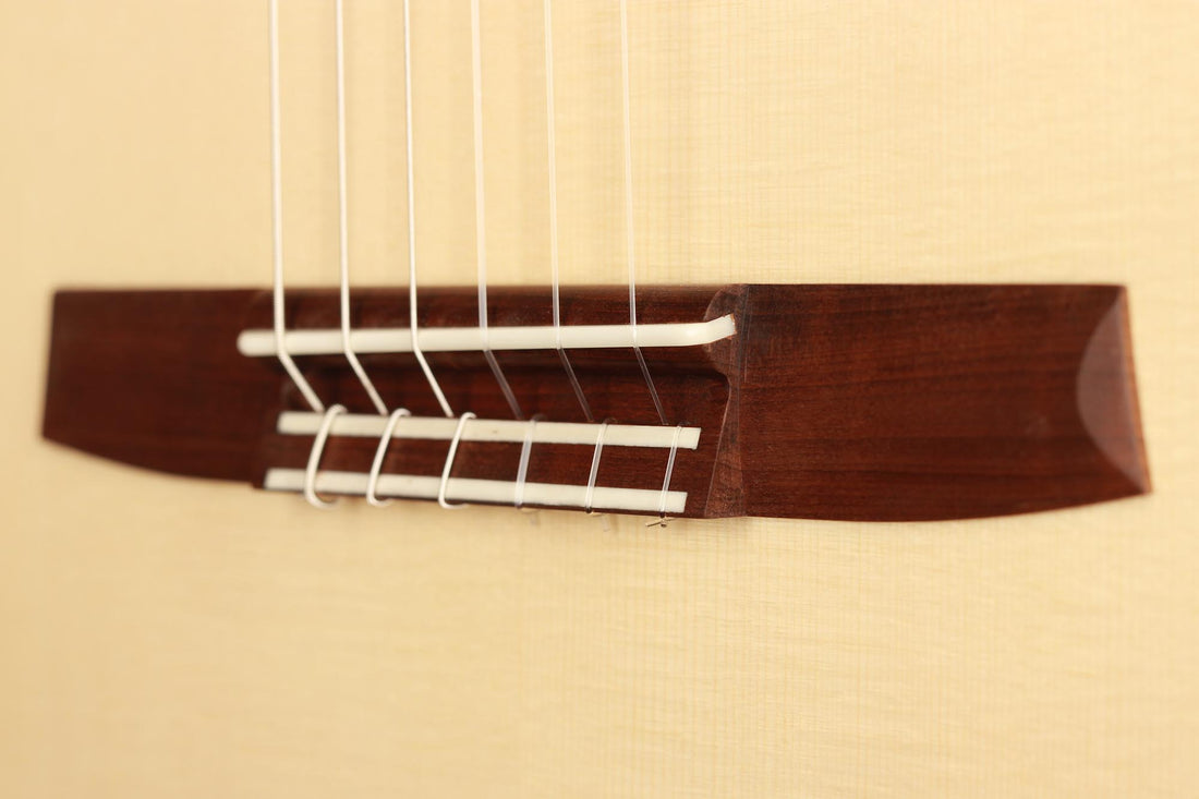 Armin Hanika - New Century Lattice