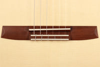 Armin Hanika - New Century Lattice