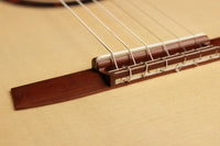 Armin Hanika - New Century Lattice