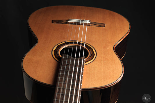 Armin Hanika - 1a DTL Custom - Elevated fingerboard