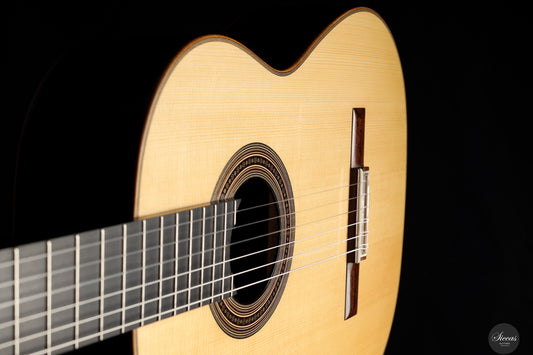 Daryl Perry - 2024 No. 255 img-2