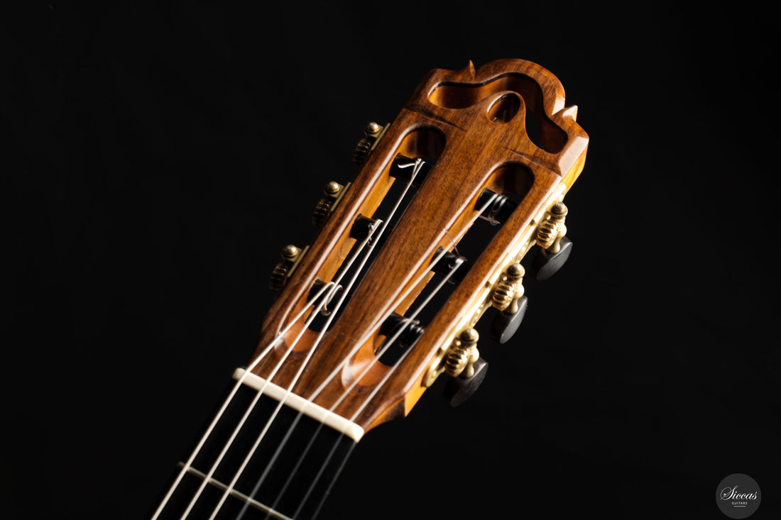 Dieter Hopf - 2019 - La Portentosa Evolucion Nr.120