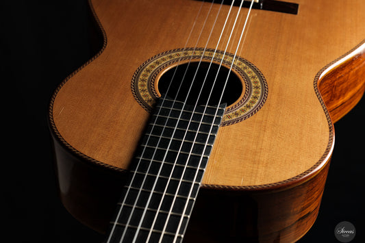 Dieter Hopf - 2019 - La Portentosa Evolucion Nr.120 img-2