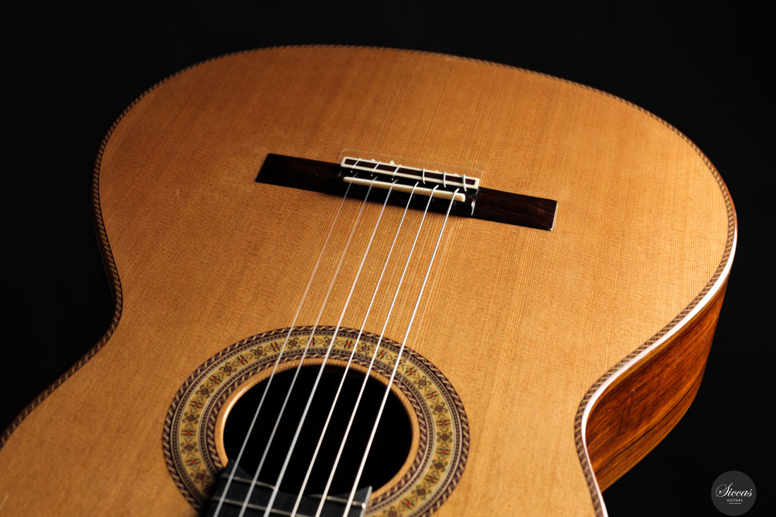 Dieter Hopf - 2019 - La Portentosa Evolucion Nr.120