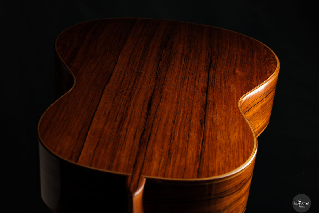 Dieter Hopf - 2019 - La Portentosa Evolucion Nr.120