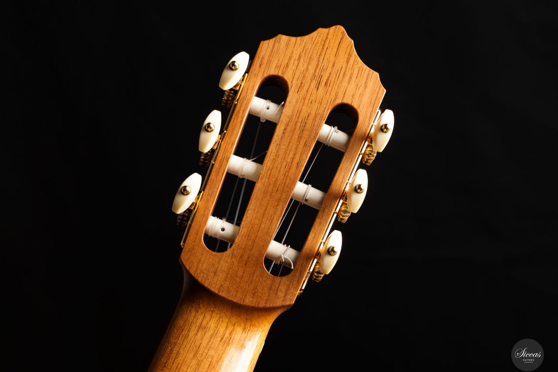 Erez Perelman - 2022 - Spruce/Cypress