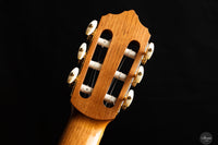 Erez Perelman - 2022 - Spruce/Cypress