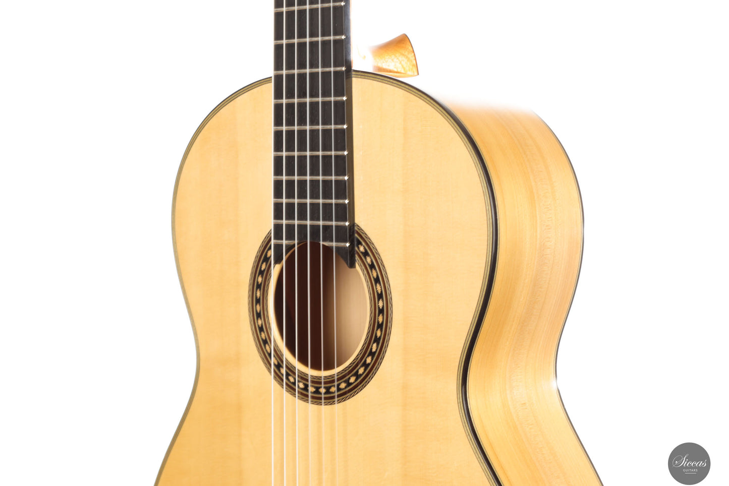 Erez Perelman - 2022 - Spruce/Cypress