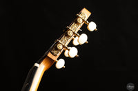 Erez Perelman - 2022 - Spruce/Cypress