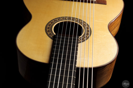 Heikki Rousu - 2025 No. 486 10-string img-2