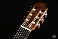 Henner Hagenlocher - 2023 Lattice