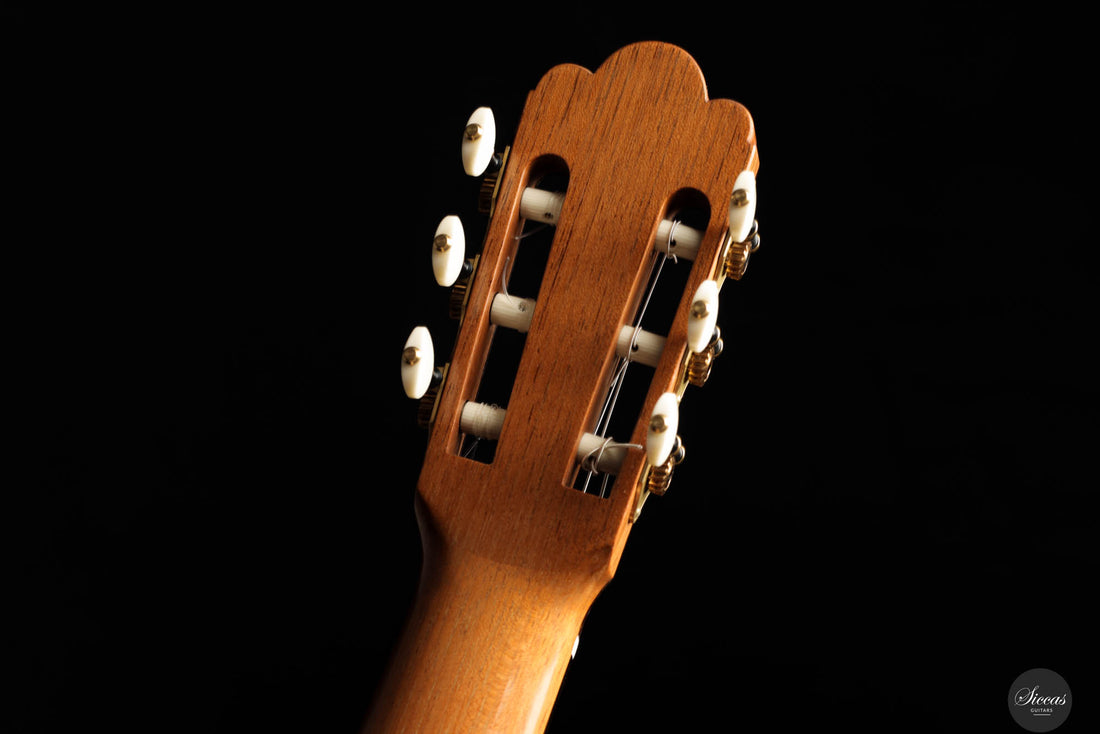 John Ray - 2023 - Torres No.268