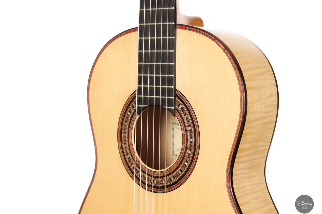 John Ray - 2023 - Torres No.268