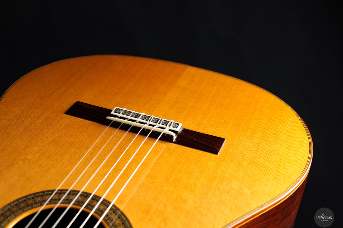 Jose Antonio Lagunar - 2019 - Concierto 1a Especial N.32