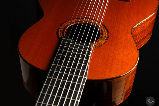 Jose Ramirez - 1976 - 1a No.10098 8-strings img-2