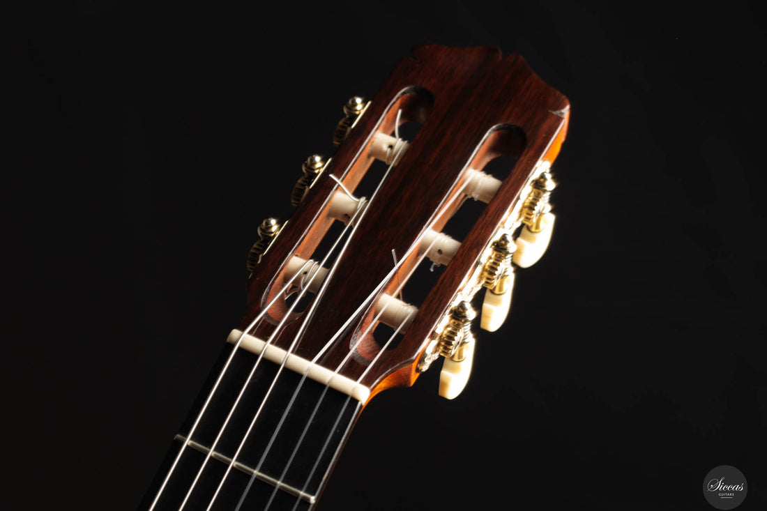 Karl-Hermann Schäfer - 2023 - Santos Hernandez