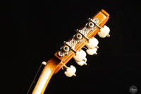 Karl-Hermann Schäfer - 2023 - Santos Hernandez