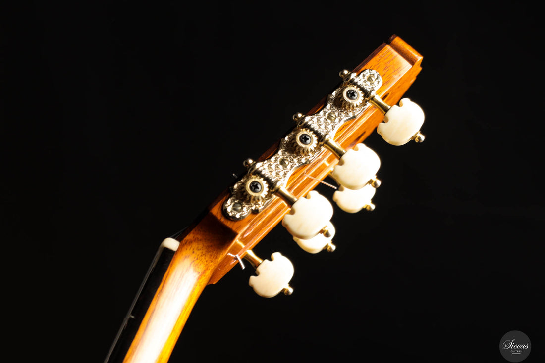 Karl-Hermann Schäfer - 2023 - Santos Hernandez