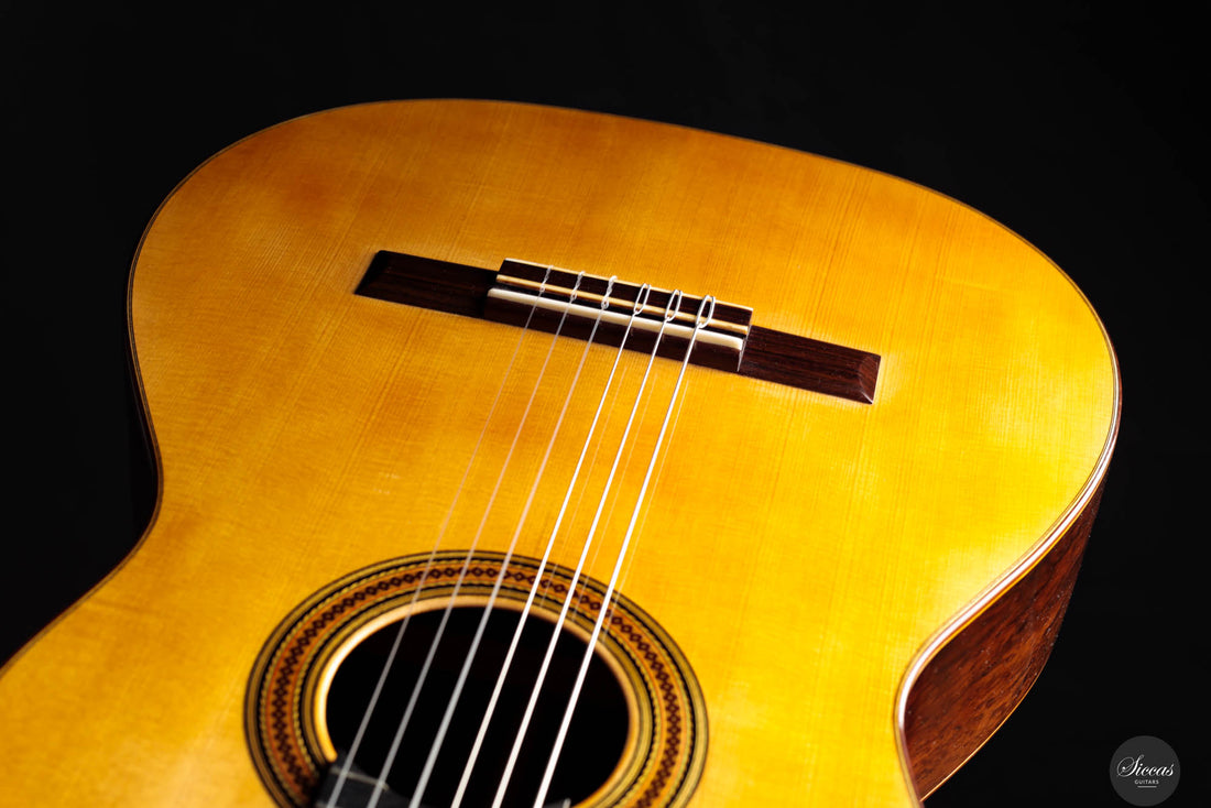 Karl-Hermann Schäfer - 2023 - Santos Hernandez