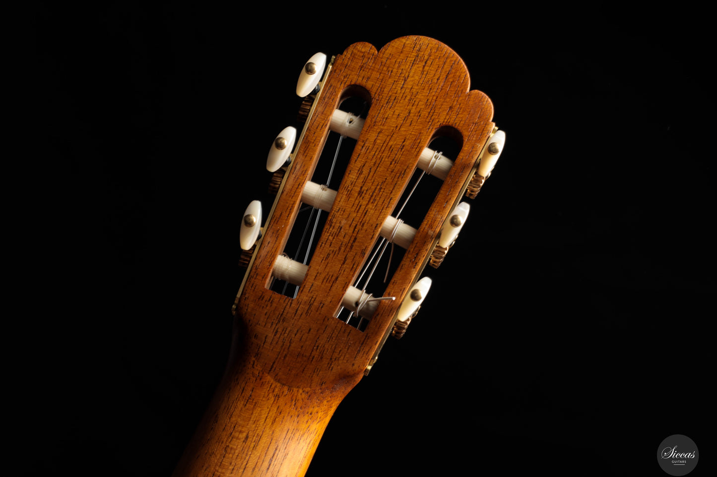 Karl-Hermann Schäfer - 2024 - Torres Fe 09 (Llobet) Tornavoz