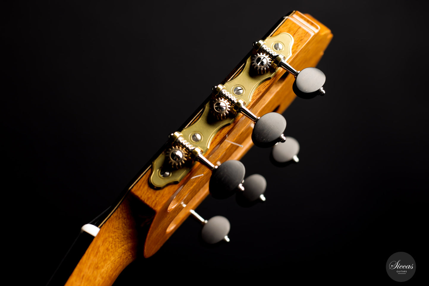 Kim Lissarrague - 2020 Lattice