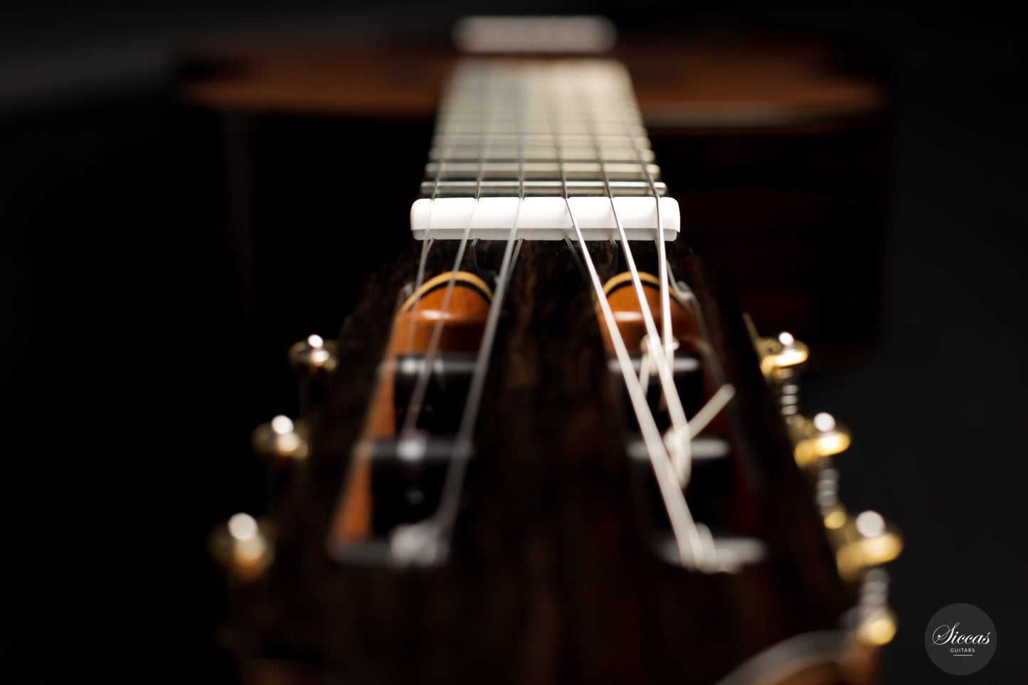 Kim Lissarrague - 2020 Lattice