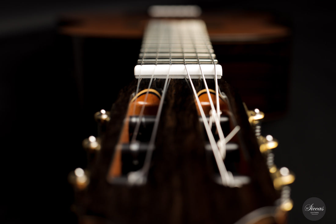 Kim Lissarrague - 2020 Lattice