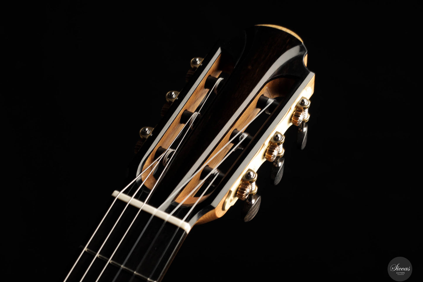 Paul Hildebrandt - 2024 - Fichte / Palisander #13