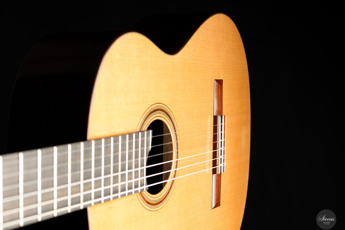 Siccas Luthiers - Craftsman Series by Stephen Eden - Lattice - Front view