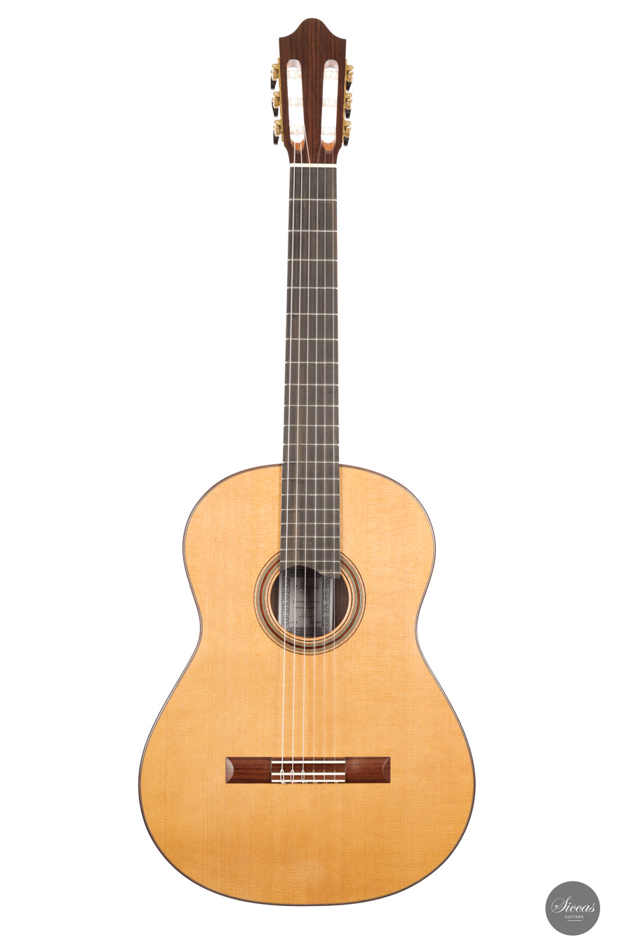 Siccas Luthiers - Craftsman Series by Stephen Eden - Lattice - Front view