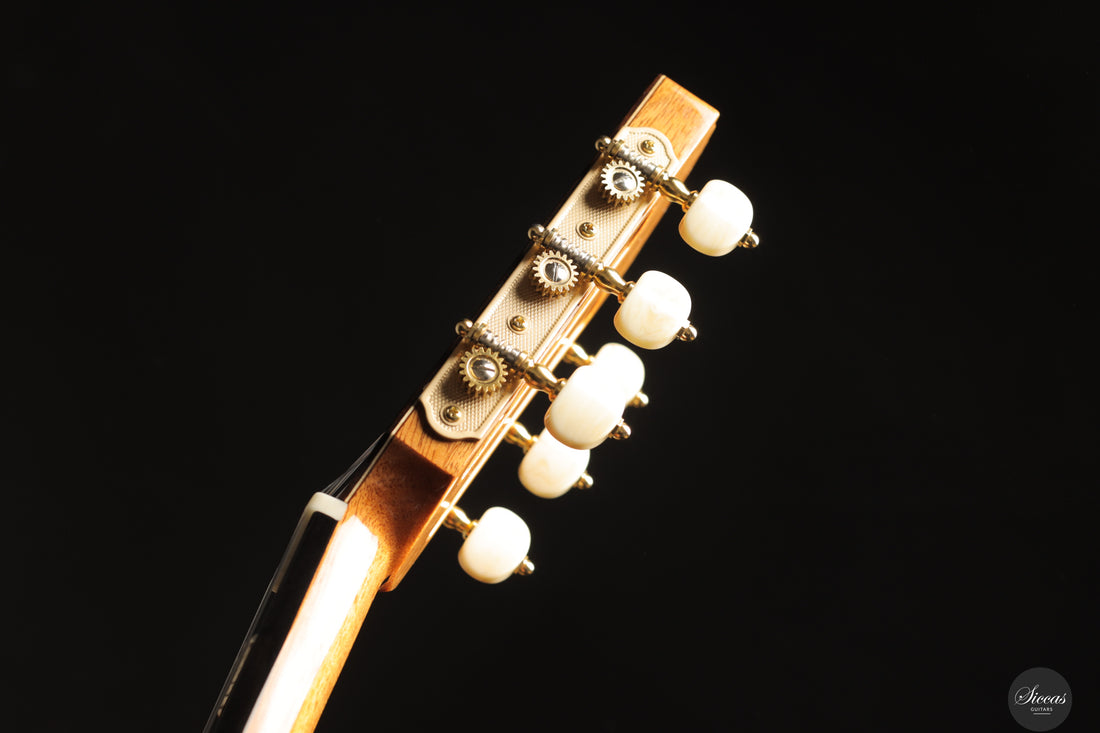 Siccas Luthiers - Recital Traditional Spruce 64 cm - Neck and tuner