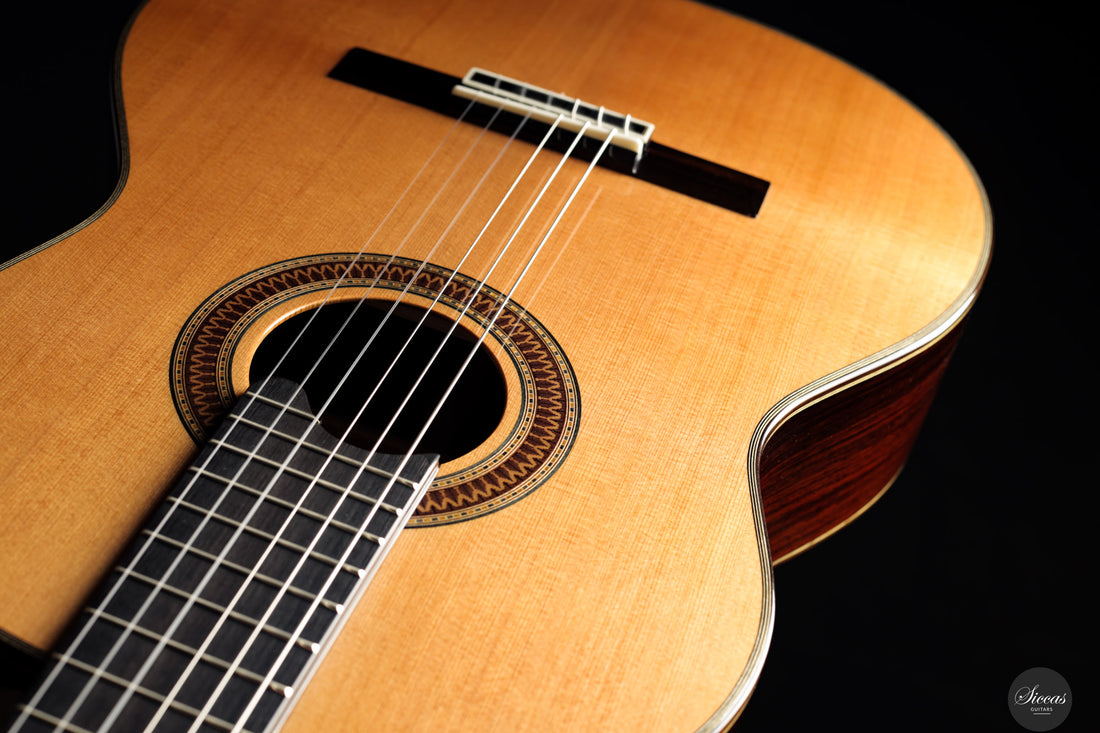 Siccas Luthiers - Recital Traditional Cedar 64 cm - Front view