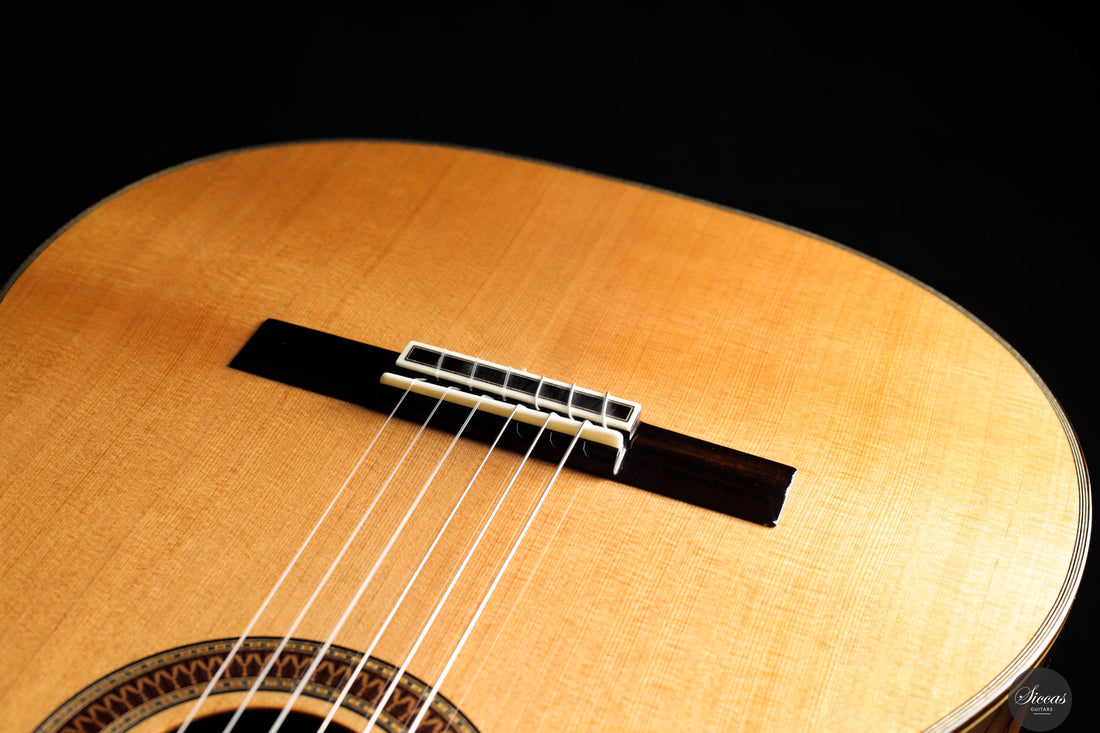 Siccas Luthiers - Recital Traditional Cedar 64 cm