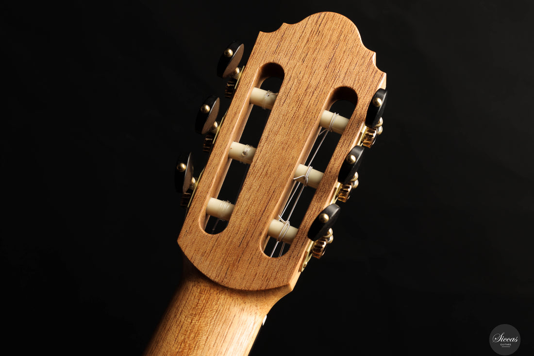 Silvia Zanchi - 2025 - REG Limited Edition Lattice