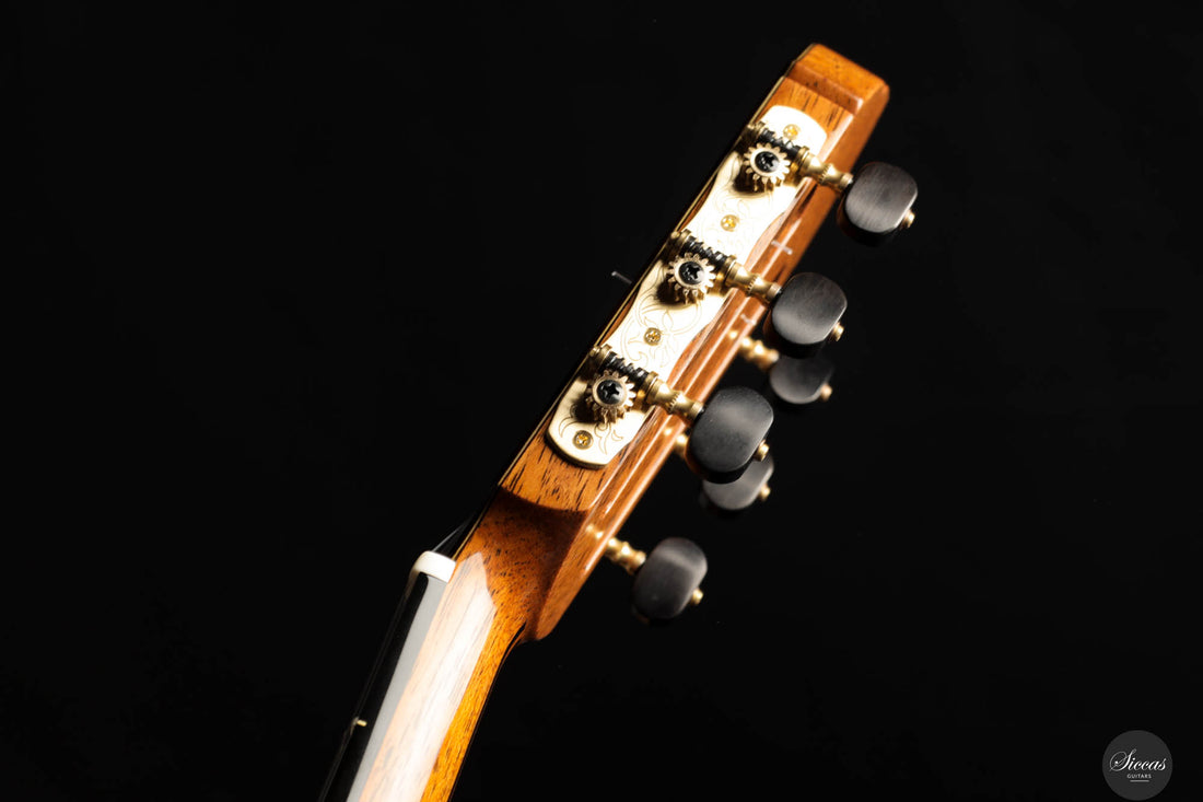 So Kimishima - 2025 - Stella Classic Spruce